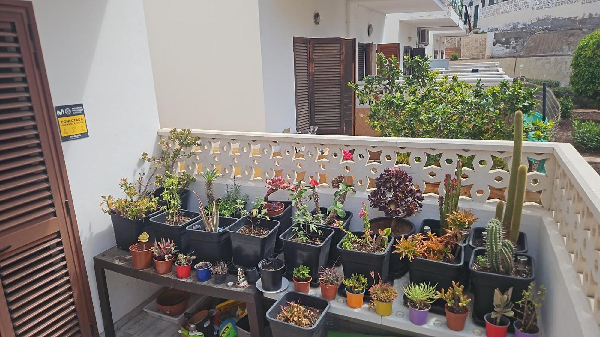 Renovated Villa In Las Americas Sea Coast Playa de las Americas  Rum bild